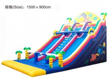 Inflatable Castle