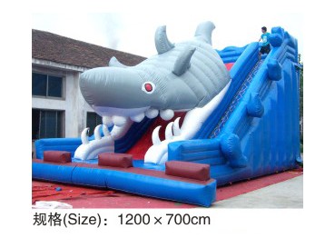 Kids Inflatable