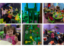 Kids Jungle GYM in Florida, USA (Waterbury, Connecticut and Jacksonville) Kids Jungle GYM in Florida, USA (Waterbury, Connecticut and Jacksonville)