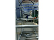 jungle Theme indoor jungle gym for clients in Latvia jungle Theme indoor jungle gym for clients in Latvia