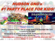 Hudson Gymnastics, WI 54016, USA -9042