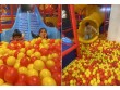 D krazy kids Play Area in Khanna Indian -245