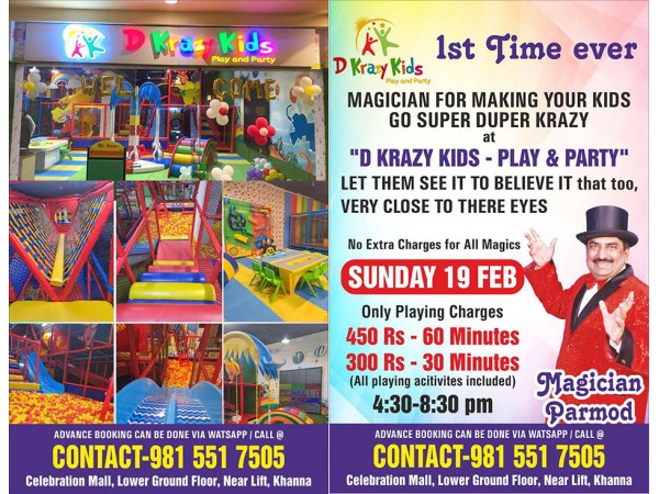D krazy kids Play Area in Khanna Indian -245