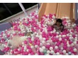 Lily Pad Playground in Granada Hills CA, USA -268