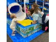 Ocean Adventures of Webb City in MO, USA -220