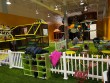 Go playground  in New Jersey, USA