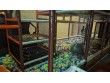 Go playground  in New Jersey, USA
