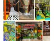 Go playground  in New Jersey, USA