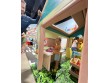 Wonderland in College Station TX, USA -279