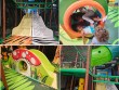 Bounce city Clearwater in BRANDON. FL, USA