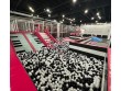 Party Zebra LLC in TX, USA