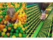 Shop N Play Strongsville OH, US