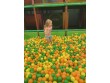 Shop N Play Strongsville OH, US