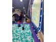 D&R PLAYLAND in OH, USA