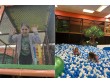 Mystic mountain indoor playground MI, USA -389