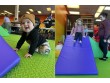 Mystic mountain indoor playground MI, USA -389