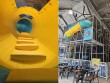 The PlayGarten in Denver CO, USA -3152