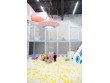 Playland Indoor Playground in Mooresville, NC, USA -3108