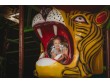 CV Kids Playhouse in courtenay, BC, Canada -3135