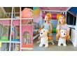 Play House Play Café in Fort Mill, SC,USA -314