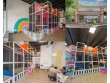 Play House Play Café in Fort Mill, SC,USA -314