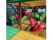 Kidventure Play center in Philippines -438