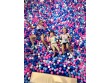 Playdatez indoor playground in Cleveland, TN, USA -3158