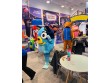 Junior playland in Newtown Square, PA 19073,USA -464
