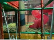 Go Playland Garden State in Paramus, NJ, USA -3148