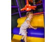 Fun Play World Corp in CA,USA