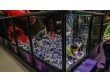 JusPlay Indoor Playgrounds in Ontario, Canada
