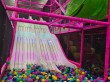Monster Fun in Auckland, New Zealand