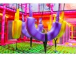 Monster Fun in Auckland, New Zealand