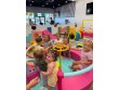 Lattes&Littles in Sylvania OH, USA -4166
