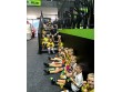 Flip in Whangarei, New Zealand -573