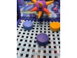 KIDZ PLAYON Legacy Drive, suite 301,Frisco TX, USA -521